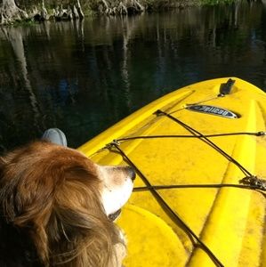 Meet your Posher, Karan